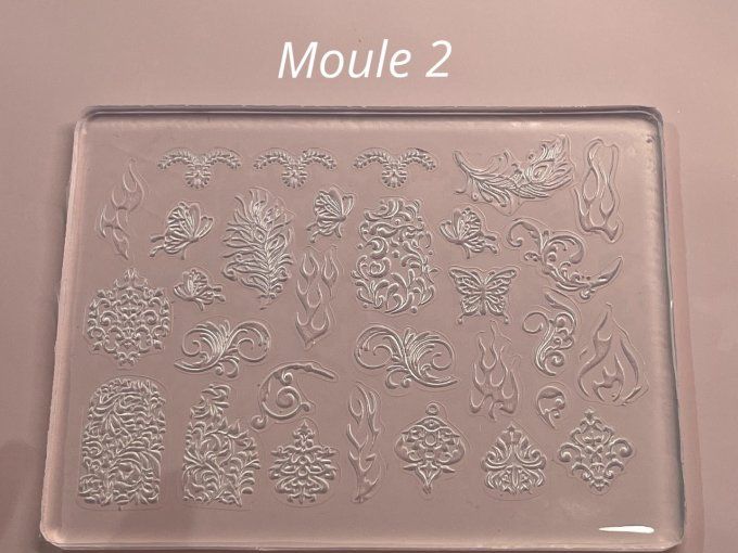 Moule 2 silicone